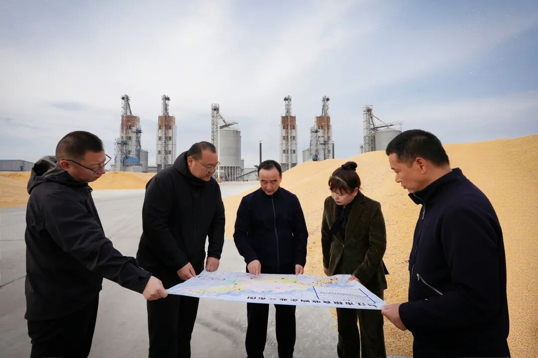 王林调研指导秋收生产、粮食收储等当前重点工作_江城要闻_ 同江市人民政府